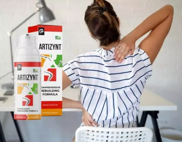 ArtiZynt: Kaj je to?