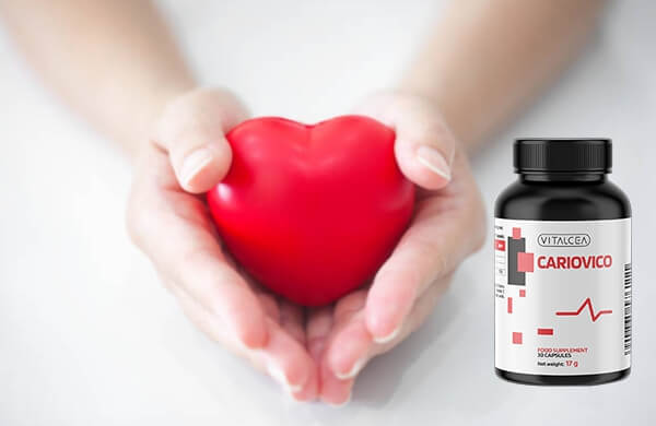 Sestava in delovanje