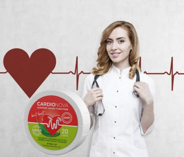 Sestavine in sestava