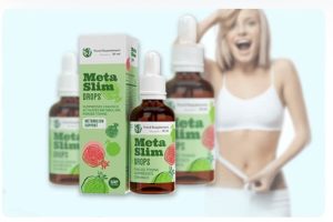 MetaSlim Forum, Uporaba in Cena – Prevara ali Deluje