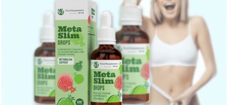 MetaSlim Forum, Uporaba in Cena – Prevara ali Deluje