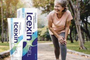 Icexin Forum, Uporaba in Cena – Prevara ali Deluje