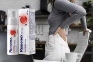 Remonex Forum, Uporaba in Cena – Prevara ali Deluje